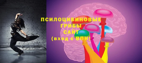 apvp Богородицк