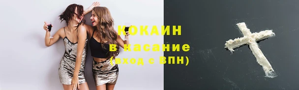 apvp Богородицк